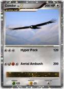 Condor