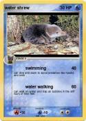 water shrew