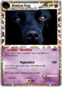 Shadow Dog