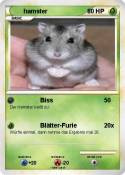 hamster