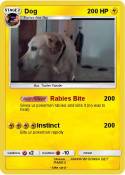 Dog