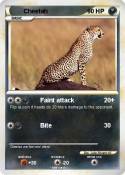 Cheetah