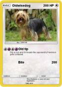 Oldwisedog