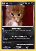 Evil kitty