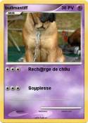bullmastiff