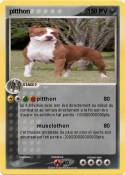 pitthon