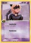 cat noir