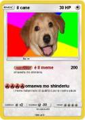 il cane