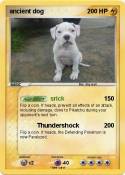 ancient dog