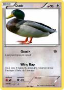 Duck