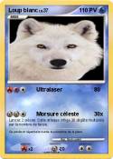 Loup blanc