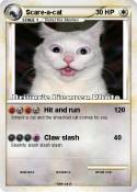 Scare-a-cat