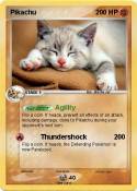 Cute Cat