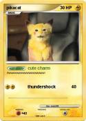 pikacat