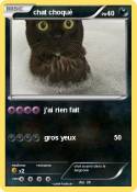 chat choqué