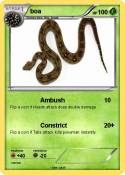 boa