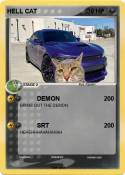 HELL CAT