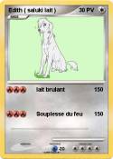 Edith ( saluki