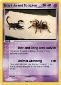 Tarantula and