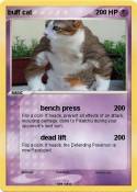 buff cat