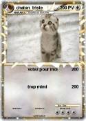 chaton triste