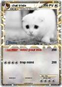 chat triste