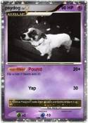 psydog
