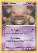 mister cochon
