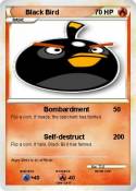 Black Bird