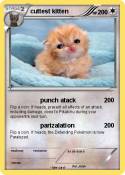 cuttest kitten