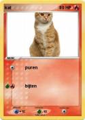 kat