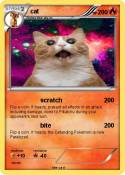 cat