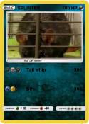SPLINTER