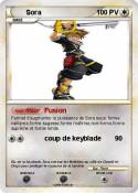 Sora