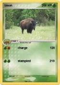 bison