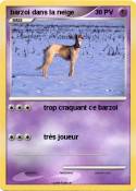 barzoi dans la