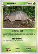 armadillo