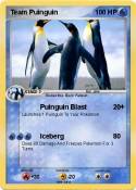 Team Puinguin