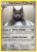 Chat Chelou
