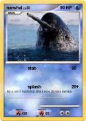 narwhal