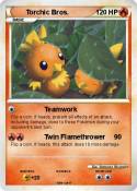Torchic Bros.
