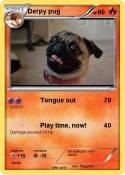 Derpy pug
