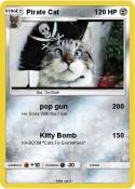 Pirate Cat