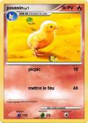 poussin