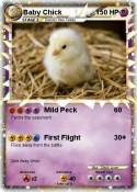 Baby Chick
