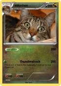 kittychon