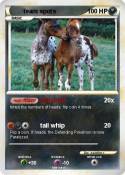 team spots
