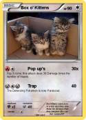 Box o' Kittens