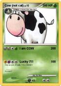 Cow (not cat)