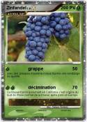Zinfandel